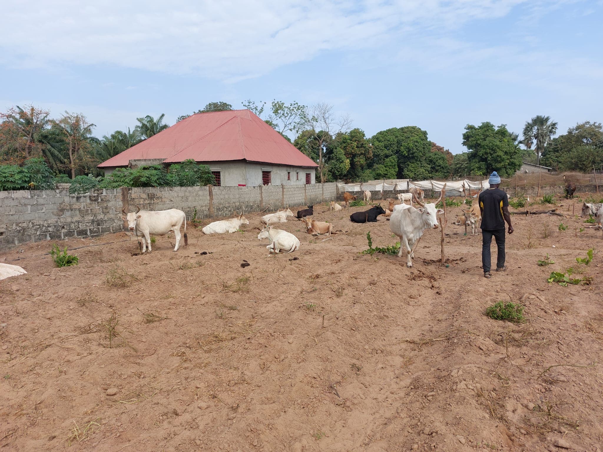 Gambiaanse boerderij